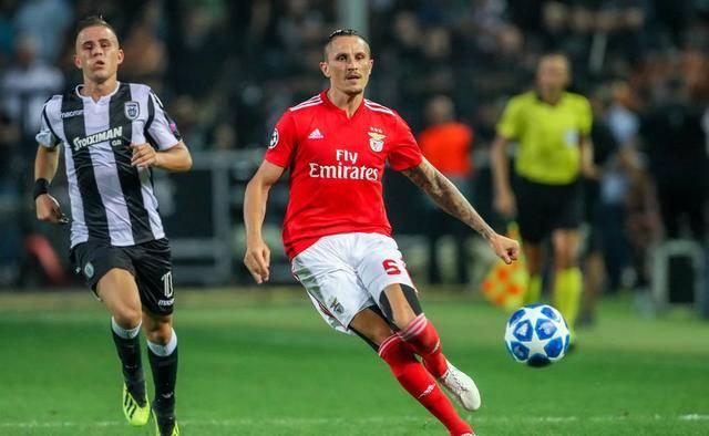 通过引进马 通过引进马