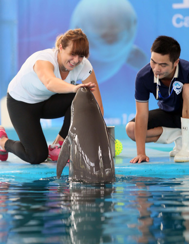 统的教程与 统的教程与