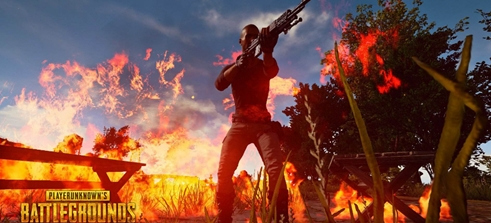 倒三角妙传 倒三角妙传