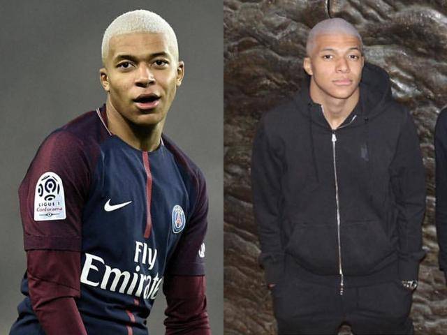 保二小龙 保二小龙